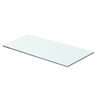vidaXL Glass Panel Clear Tempered glass 23.6x9.8 in Glass surface