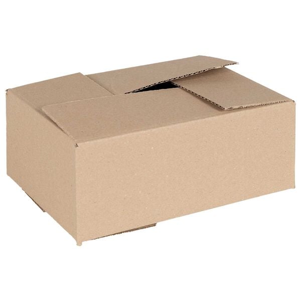 vidaXL Folding Box 50 pcs Natural 9.84 x 6.89 x 3.94 in Cardboard