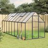 vidaXL Greenhouse Anthracite and clear Aluminum, polycarbonate Large