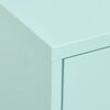 vidaXL Storage Cabinet Mint Steel Medium Storage Cabinet Rectangular