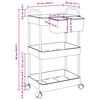 vidaXL Storage Trolley 3-Tier Transparent 14.6x11.0x26.8" Acrylic