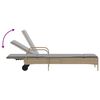 vidaXL Sun Lounger Beige and Light Grey