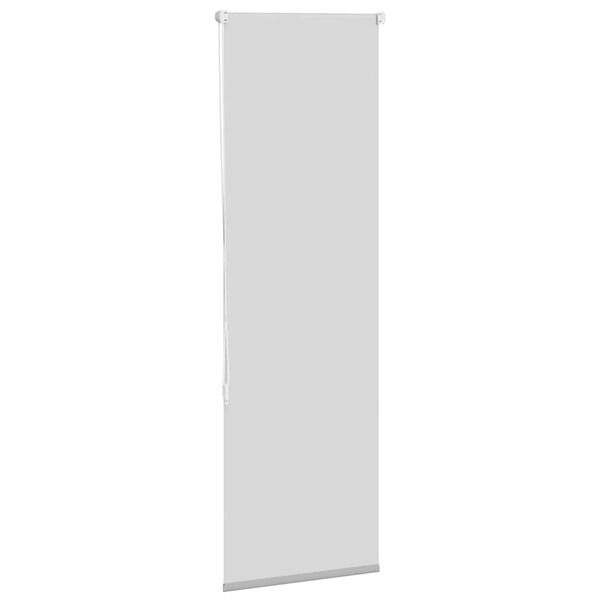 vidaXL Roller Blind Light Grey 100% Polyester 23.6x51.2 in