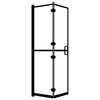 vidaXL Folding Shower Enclosure ESG 39.4"x55.1" Black