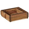 vidaXL Tray 2 pcs Brown 11.42 x 12.20 x 3.94 in Solid Reclaim Wood