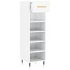 vidaXL Shoe Cabinet High gloss white Engineered wood, iron, aluminum alloy