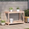 vidaXL Potting Table Natural wood Solid Douglas wood Large Potting Table
