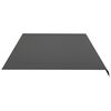 vidaXL Replacement Awning Fabric Anthracite 100% Polyester with PU coating