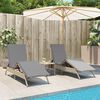 vidaXL Sun Lounger Set of 2 Beige PE rattan 78.7 in x 23.2 in x 10.2 in