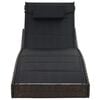 vidaXL Sunlounger Brown and Black