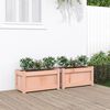 vidaXL Garden Planter Set of 2 Natural wood Solid douglas wood