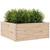 vidaXL Garden Planter Natural Pine Wood Solid Pine Wood Large
