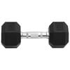 vidaXL Dumbbells 2 pcs 35.3 lb Total Cast Iron