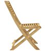 vidaXL Garden Chair Set of 2 Light wood Solid Acacia wood Standard