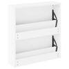 vidaXL Shoe Cabinet 2-Layer Mirror White 24.8x6.7x26.4"