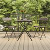 vidaXL Folding Bistro Chair Set of 2 Grey Poly Rattan, Powder-Coated Steel