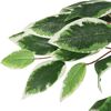 vidaXL Artificial Ficus Tree 378 Leaves 31.5" Green