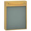 vidaXL Mirror Cabinet Natural Solid teak wood, glass Medium