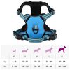 vidaXL Dog Harness Blue Polyester XL Dog Harness Adjustable Armrests