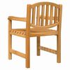 vidaXL Garden Chair Set of 2 Natural Teak Solid Teak Wood Standard