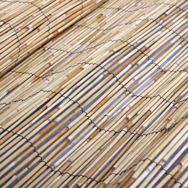 vidaXL Reed Fence Natural 118.11 x 62.99 in Reed