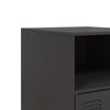 vidaXL Bedside Cabinet Black Cold-rolled steel Bedside Cabinet