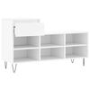 vidaXL Shoe Cabinet White Engineered Wood, Metal Medium