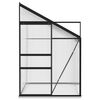 vidaXL Greenhouse Anthracite and Transparent
