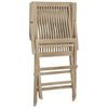 vidaXL Folding Garden Chair Set of 2 Grey Solid teak wood Adjustable