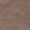 vidaXL Anti-slip Shaggy Rug Brown 31.5" x 59.1" PP