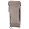 vidaXL Beach Chair Brown Powder-coated steel, textilene Standard