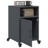 vidaXL Bedside Cabinet Anthracite Cold-rolled steel Bedside Cabinet