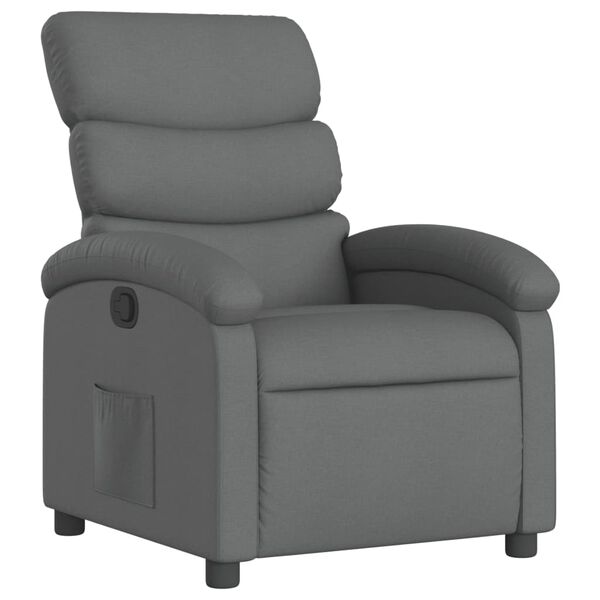 vidaXL Recliner Chair Dark Gray 100% polyester, metal, plywood Medium