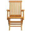 vidaXL Patio Chair Set of 3 Teak Teak Wood, Polyester Standard