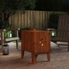 vidaXL Camping Stove 13.8"x19.7"x21.7" Corten Steel