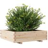 vidaXL Garden Planter Natural Wood Solid Pine Wood Medium Durable