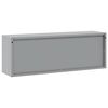 vidaXL Tool Cabinet with Storage Black and gray 100 x 25 x 35 cm