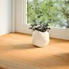 vidaXL Window Sills 2 pcs Light Brown 43.3x15.7x0.8" Solid Wood Oak