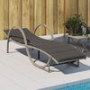 vidaXL Sun Lounger Light Gray PE Rattan, Powder-Coated Steel Standard