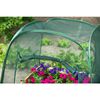 Nature Greenhouse Transparent Polyethylene, Steel Small Collapsible