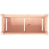 vidaXL Garden Planter Set of 2 Natural wood Solid Douglas Fir Wood