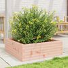 vidaXL Garden Planter Brown Douglas Wood Medium Garden Planter Square