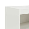 vidaXL Sideboard White Cold-rolled steel Medium Sideboard Rectangular