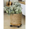 Nature Plant Trolley Brown Bamboo plastic composite &Oslash;11.8 in x 3.1 in