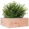 vidaXL Garden Planter Douglas wood natural Solid Douglas fir wood Medium