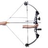 vidaXL Adult Compound Bow with Accessories and Fiberglass Arrows
