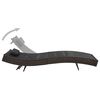 vidaXL Sunlounger Brown and Black