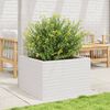 vidaXL Garden Planter White Solid Pinewood Medium Durable