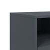 vidaXL TV Cabinet Anthracite Steel Medium TV Cabinet Rectangular