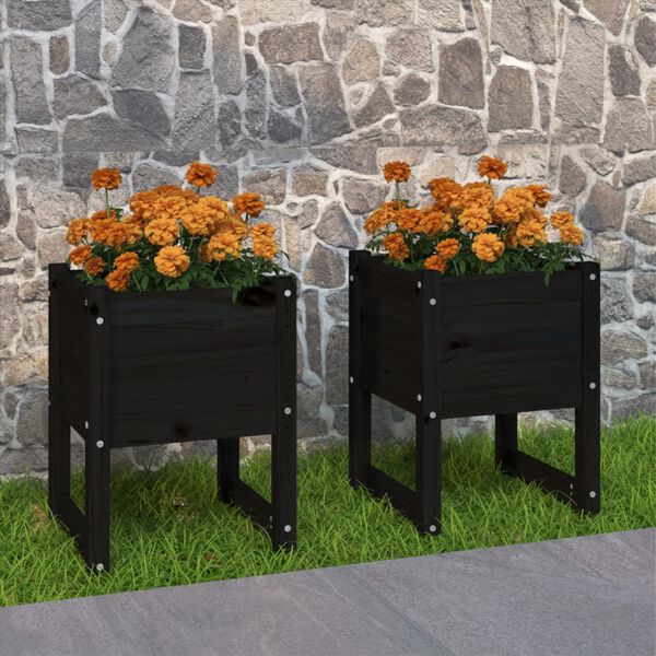 vidaXL Planter Set of 2 Black Solid pine wood Medium Durable Planter